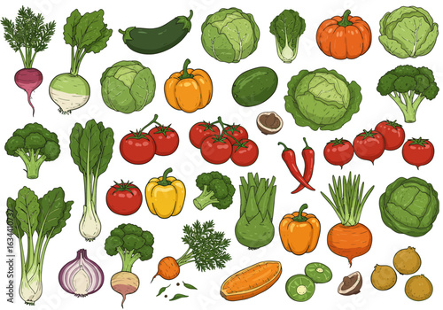 Vibrant hand-drawn collection of fresh organic garden vegetables.