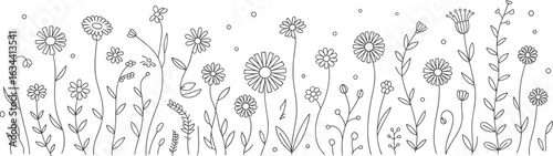 Hand drawn wildflowers, botanical floral line art, black and white flower border, spring floral elements, meadow plants, floral sketch for coloring book design