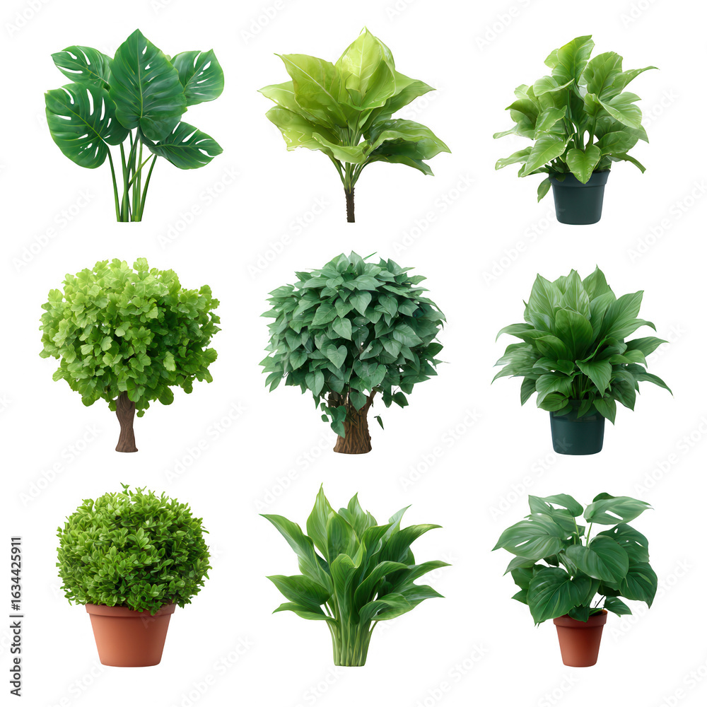 Obraz premium A collection of various green plants displayed against a white isolate background, showcasing different shapes and sizes of leaves in their natural pots.