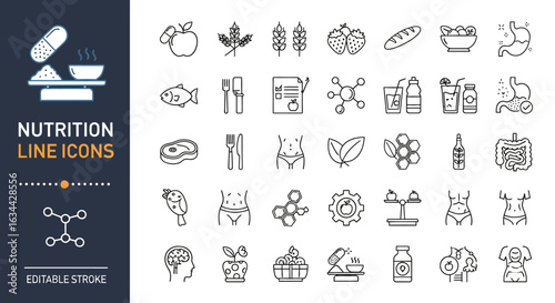 Beach and summer vacation line icon set. A comprehensive collection of symbols for travel, seaside holidays, and tropical life.