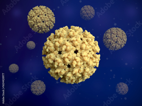 Chikungunya viruses. The Chikungunya disease has become a global health concern.