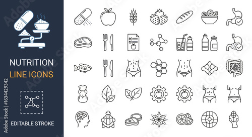 Beach and summer vacation line icon set. A comprehensive collection of symbols for travel, seaside holidays, and tropical life.