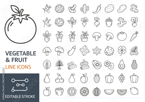 Beach and summer vacation line icon set. A comprehensive collection of symbols for travel, seaside holidays, and tropical life.