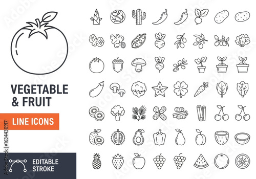 Beach and summer vacation line icon set. A comprehensive collection of symbols for travel, seaside holidays, and tropical life.