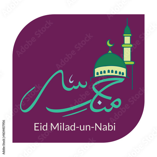 Shining in the Light of the Prophet (PBUH). Celebrating the Mercy to the Worlds Eid Milad un Nabi. The Birth of the Greatest Man in History. Spreading the Light of Sunnah and Peace. 