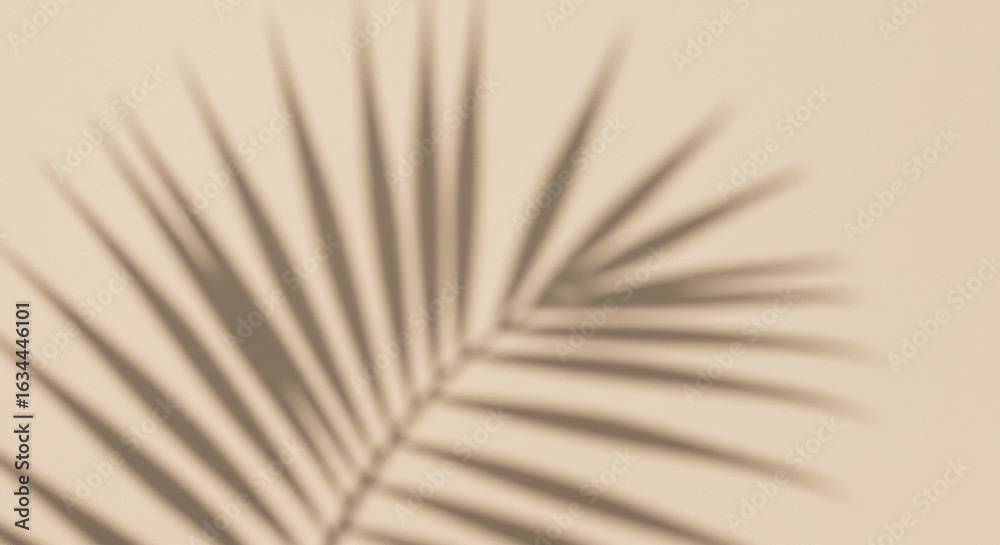 Fototapeta premium Serene palm leaf shadow casts a tranquil, minimalist vibe across a soft, neutral background