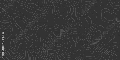 Abstract black canvas layered with flowing topographic lines, giving a sense of digital elevation and spatial depth for modern graphic or tech use.

