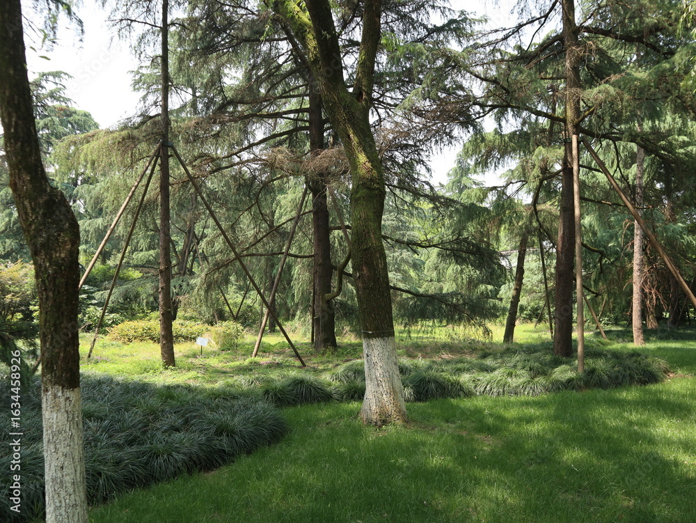 Fototapeta premium Greenery in public park