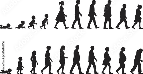 Silhouette of human life stages from baby to elderly, growing up timeline, male and female evolution, aging concept graphic