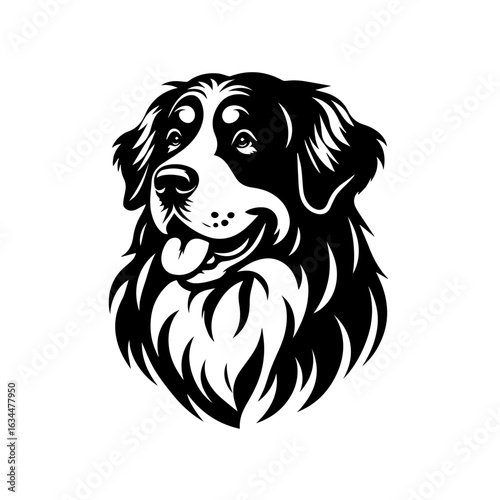 Bernese Mountain Dog Head Vector Illustration.