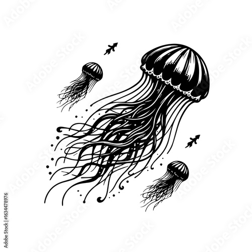 Black and White Jellyfish Illustration.