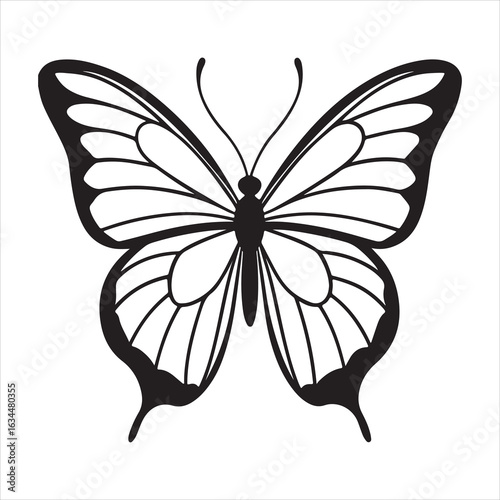 A Butterfly's Flight