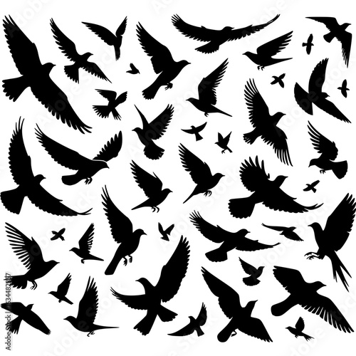 Soaring Silhouette: A dramatic montage of bird silhouettes in flight, an eye-catching, artful illustration, set against a clean backdrop.