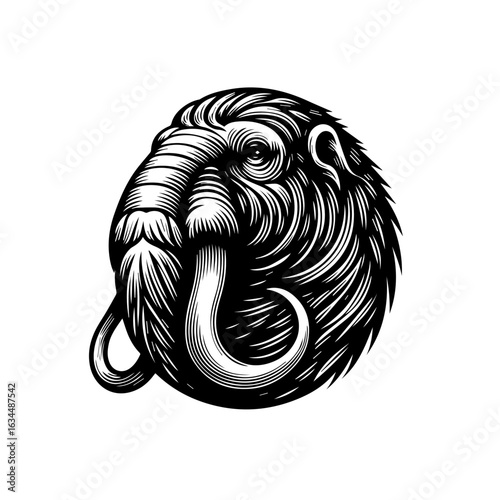 Vintage Woolly Mammoth Head Engraving Illustration.