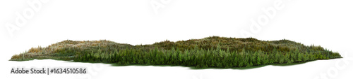 grass on white background/Dense forest with green and brown tones in autumn season