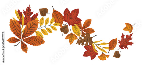 Hand drawn autumn background. A frame of fall leaves. Decoration for Thanksgiving and Harvest Day. Horse chestnut, white oak, ginko, red maple, sycamore, birch, sweetgum tree, beech leaf.