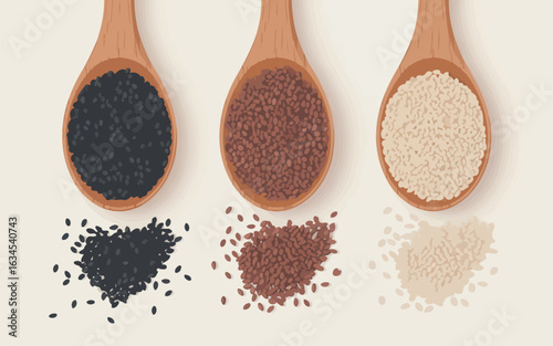 Three wooden spoons filled with different seeds