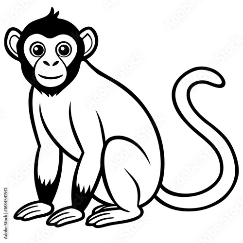 monkey in the forest