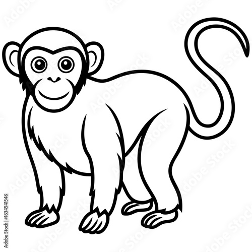 Photography monkey icon