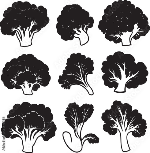 Collection of sleek black vector silhouettes of cauliflower