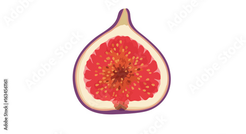 Vector Illustration of Faded Fig Fruit in Naturalistic Style with Red Pink Inner Flesh and Green Outer Skin