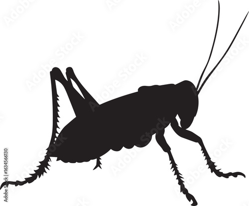 Grasshopper Standing Body upright on hind legs with front legs and antennae relaxed. full length silhouette black vector illustration