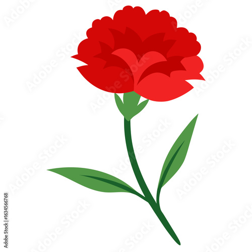 red carnation flower