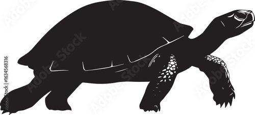Turtle Walking Slow, steady steps with legs extended and body low to the ground. full length silhouette black vector illustration