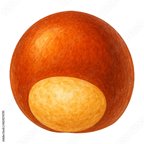 Realistic vector illustration of a single glossy chestnut with soft texture, isolated on transparent background