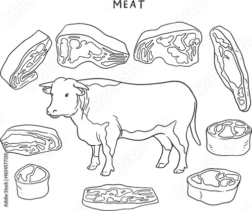 A hand-drawn illustration showing a cow surrounded by various beef cuts. This diagram is perfect for butcher shops, restaurant menus, cooking blogs, or educational materials related to meat cuts.