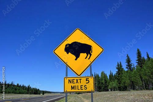 Wildlife Crossing Sign Featuring Buffalo in Rural Utah