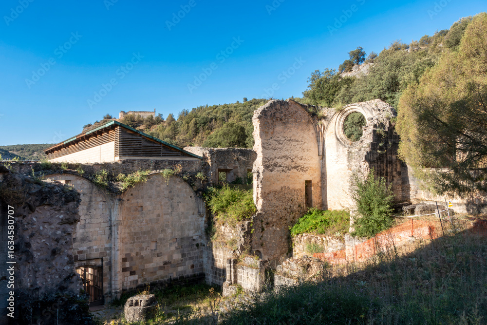 Fototapeta premium Ruins of the historic medieval Monastery of San Pedro de Arlanza in Burgos, Spain.