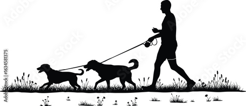 Silhouette, person walking dogs, leash in hand, grassy path, pet activity, nature plants, vector art, black graphic, outdoor scene, companionship