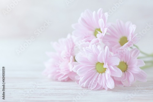 Soft pink daisies arranged gracefully on light wooden surface ev