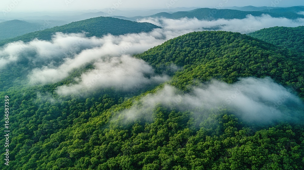 Obraz premium Aerial view of a mountainous landscape with vivid greenery and low-hanging clouds clinging to the slopes