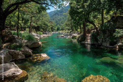 Crystal-clear river flowing through lush forest