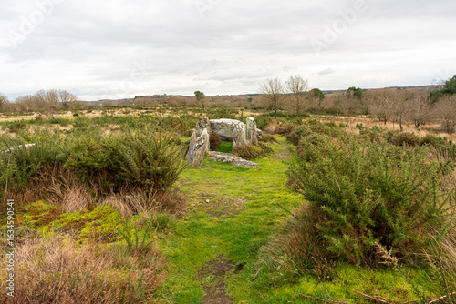 Menhir, dolmen, mégalithe