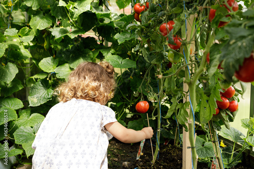 Adorable toddler examining ...