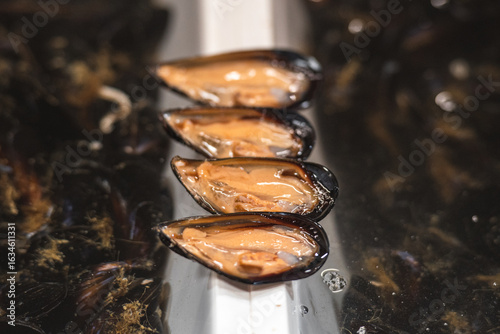 Fresh raw mussels displayed open in a fishery or street food local market