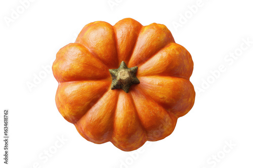 Miniature Pumpkin Top View