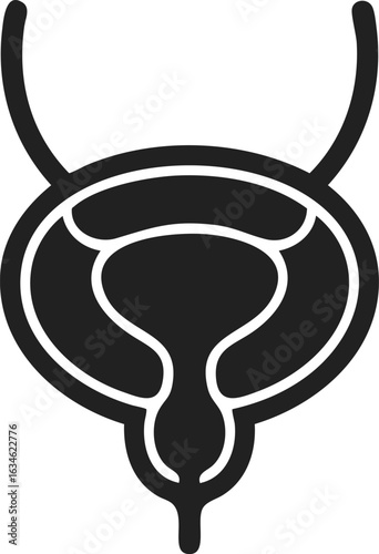 Bladder icon, anatomical symbol, urinary system representation, human body illustration, medical diagram