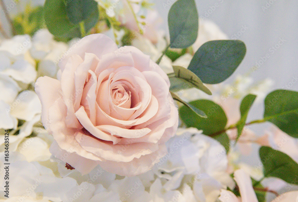Obraz premium view of a pale pink flower with green leaf on a white petal structure
