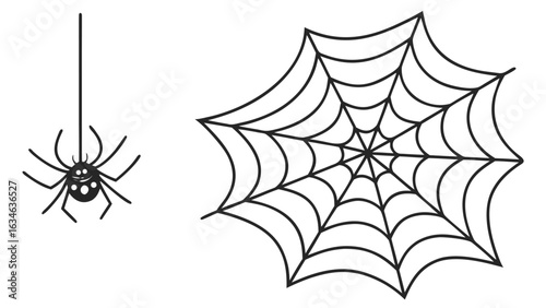 Spider and web isolated on white background, a creepy and spooky halloween decoration for trick or treat, with scary arachnid and insect