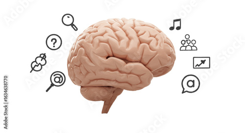 3D vector of brain illustration with icons plain white background