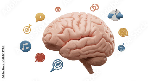 human brain vector illustration