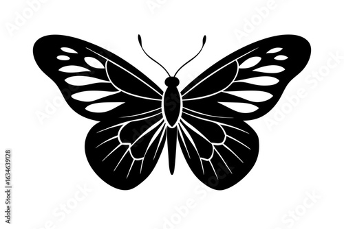 butterfly isolated, butterfly silhouette vector, butterfly black symbol
