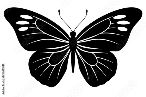 butterfly silhouette vector, butterfly black symbol