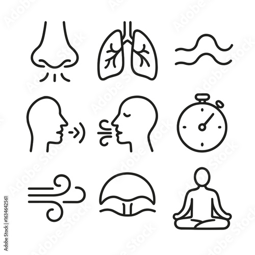 Vector diaphragm nose lungs icons calming icon wind breathing exercise symbol breath