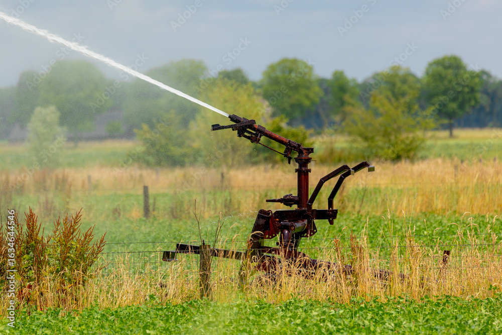 Fototapeta premium Agriculture concept, Open the springer in farmland, Gardener watering vegetables or flowers in the field, Splashing water for home grown vegetable on sunny day in summer, Countryside of Netherlands.