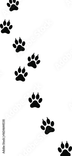 Black dog paw prints on white background, isolated animal footprints pattern, walking trail design for pet lovers, tattoos, vector art